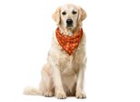 Abakuhaus Bandana Per Animali Domestici Vintage, Motivi Floreali Geometrici, 40X40 Cm, Arancione Vermiglio