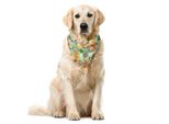 Abakuhaus Bandana Per Animali Domestici Con Scoiattolo, Happy Wildlife Fauna Art, 40X40 Cm, Multicolore