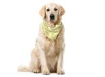Abakuhaus Bandana Per Animali Domestici Gialla E Bianca, Disegno A Onde, 55X55 Cm, Gialla E Bianca