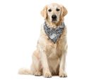 Abakuhaus Bandana Per Animali Domestici Dahlie, Blooms SchöNheit KräUter Floral, 55X55 Cm, Grigio Nero E Cocco