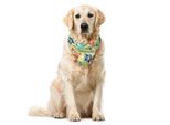 Abakuhaus Bandana Botanica Per Animali Domestici, Prato Fiorito Primaverile, 55X55 Cm, Multicolore