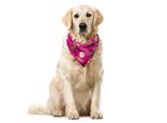 Abakuhaus Bandana Per Animali Domestici Con Motivi Fruttati, Garcinia Mangostan Doodle, 40X40 Cm, Rosa Lilla