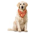 Abakuhaus Bandana Per Animali Domestici Vintage, Fiori Astratti Vorticosi, 40X40 Cm, Scarlet Apricot
