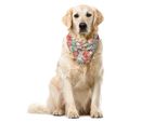 Abakuhaus Europa Bandana Per Animali Domestici, Timbri Colorati Sul Passaporto, 40X40 Cm, Multicolore