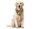 Abakuhaus Bandana Tribale Per Animali Domestici, Motivi Geometrici Indigeni, 55X55 Cm, Multicolore