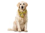Abakuhaus Bandana Per Animali Domestici Vintage, Love Flowers Faded Tones, 55X55 Cm, Giallo Scuro Multicolore