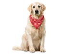 Abakuhaus Bandana Per Animali Domestici, Motivi Boho A Zig Zag E Rombi, 55X55 Cm, Beige Corallo