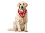Abakuhaus Bandana Geometrica Per Animali Domestici, Forme Ritmiche Moderne, 40X40 Cm, Blu Mare E Verde Lime