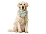 Abakuhaus Bandana Per Animali Domestici Vintage, Motivo Artistico Antico, 40X40 Cm, Blu Pallido Eggshell