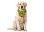 Abakuhaus Bandana Astratta Per Animali Domestici, Stelle Dei Fumetti Con Fori, 55X55 Cm, Verde Acqua Scuro Giallo Scuro