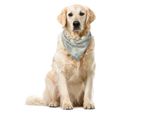 Abakuhaus Bandana Per Animali Domestici Vintage, Stile Romantico Nostalgico, 40X40 Cm, Reseda, Verde, Arancione