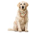 Abakuhaus Bandana Per Animali Domestici, Motivo Doodle Coastal Items, 55X55 Cm, Multicolore