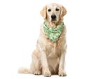 Abakuhaus Bandana Per Animali Domestici Aloha, Hawaii Jungle Leaves Arcadia, 55X55 Cm, Verde Lime E Bianco