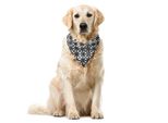 Abakuhaus Bandana Per Animali Domestici Vintage, Motivi Floreali Continui, 40X40 Cm, Grigio Antracite Bianco
