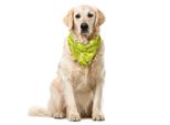 Abakuhaus Bandana Per Animali Domestici Con Fiori, Allegra Fantasia Floreale Astratta, 40X40 Cm, Giallo Verde Cipria