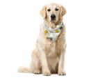 Abakuhaus Bandana Astratta Per Animali Domestici, Arte Minimalista Con Esagoni, 55X55 Cm, Avorio Giallo Scuro