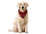 Abakuhaus Bandana Astratta Per Animali Domestici, Fiori Punteggiati Di Polka Caldi, 40X40 Cm, Fucsia Scuro Vermiglio