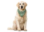 Abakuhaus Bandana Per Animali Domestici Con Fiori, Elementi Botanici Floreali, 55X55 Cm, Verde Pavone E Melanzana