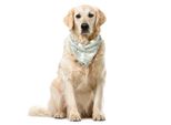 Abakuhaus Bandana Per Animali Domestici Con Farfalle, Fiori Primavera Risveglio, 40X40 Cm, Giallo-Verde