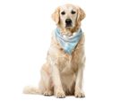 Abakuhaus Bandana Astratta Per Animali Domestici, Design Pastel Brick Wall, 55X55 Cm, Azzurro Pallido E Bianco