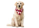 Abakuhaus Bandana Marrone Castagna Per Animali Domestici, Fiori Di Dalia In Fiore, 55X55 Cm, Marrone Rossiccio Rosa Pesca Pallido