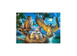 Castorland Puzzle Della Famiglia Dei Gufi 500 Pezzi