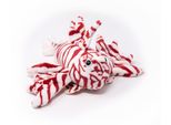 Cornelissen - Peluche - Pesce Leone - 22 Cm
