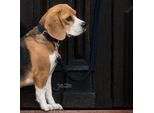 Guinzaglio Per Cani In Nylon Intrecciato Kentucky Dogwear 120 Cm Taglia L Navy