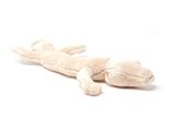 Cornelissen - Peluche - Grotta Olm - 33 Cm