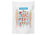 Abakuhaus Tovaglia Anatomica, Schema Degli Organi Interni Umani, Stampa Personalizzata Colori Chiari Senza Scolorimento Lavabile Per Uso Esterno, 140 X 200 Cm, Azzurro Beige