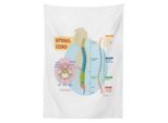 Abakuhaus Tovaglia Anatomica, Infografica Sul Midollo Spinale, Impermeabile, Lavabile Con Colori Chiari E Visibili, Non Sbiadisce, Personalizzata, 140 X 240 Cm, Azzurro, Rosa Cipria