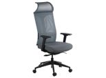 Sedia Da Ufficio Ergonomica Girevole Ryder, Braccioli Regolabili, Poggiatesta, Seduta Scorrevole (Avanti-Indietro), Grigio