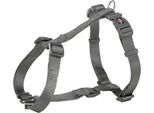Premium H-Collier 52-75 Cm/20 Mm Grafite