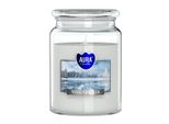 Grande Candela Profumata In Vaso Bispol Aura 100H Aria D'inverno