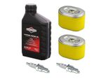 Set Di Manutenzione (5 Pezzi) Per Generatore Di Corrente Einhell TC-PG 2500 / TC-PG 3500
