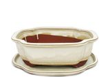 Ciotola Bonsai Con Piattino Gr. 4 - Beige Chiaro - Lungo / Ovale - Modello I4 - L 26 Cm - P 20,5 Cm - H 8,5 Cm