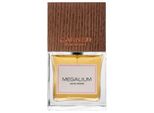 Carner Barcelona Megalium Edp 100 Ml Unisex