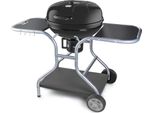Fieldmann Fzg 1014 Grill Carbone (Combustibile) Nero, Acciaio Inox