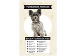 Vianmo Insegna In Legno 30X20 Cm Yorkshire Terrier Eigentumsrechte