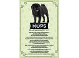 Vianmo Insegna In Legno 30X20 Cm Tiere Mops Hausordnung Hunde