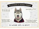 Vianmo Insegna In Legno 20X30 Cm Tiere Haski Willkommen Wohne Hier