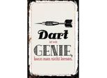 Vianmo Insegna In Legno 30X20 Cm Dart Genie Kann Man Nicht Lernen