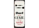 Vianmo Insegna In Legno 27X10 Cm Dart Genie Kann Man Nicht Lernen