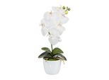 Set Di 2 Piante Artificiali Phalaenopsis 40Cm Bianche In Vaso Di Ceramica 11Cm Decorativo
