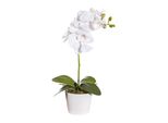 Set Di 2 Piante Artificiali Phalaenopsis 40 Cm, Orchidee Bianche In Vaso Con Muschio, 11 Cm