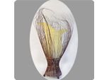 Lampada Decorativa Lampada D'atmosfera Lampada Asiatica Lampada Da Terra Lampada Da Tavolo Lampada Da Tavolo Bali Asia Tulpe Piccola 60 Cm, Bianco