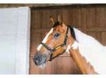 Kentucky Horsewear Cavezza In Cuoio Wellington Cavezza In Cuoio Nero Cob