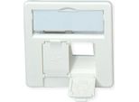 Piastra Centrale Teleg "Rtner, 50 X 50 Mm, Per AMJ45 8/8 UP/0"