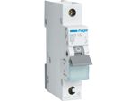 Interruttore Automatico Hager C 32A 1P 415V 6Ka 1TE Ac