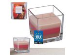 Kotarbau® Candela Profumata A 2 Stoppini In Vetro Candela A Due Stoppini Tricolore Idea Regalo Aromaterapia Decorazione Candele Durata Fino A 32 Ore Cannella Mela